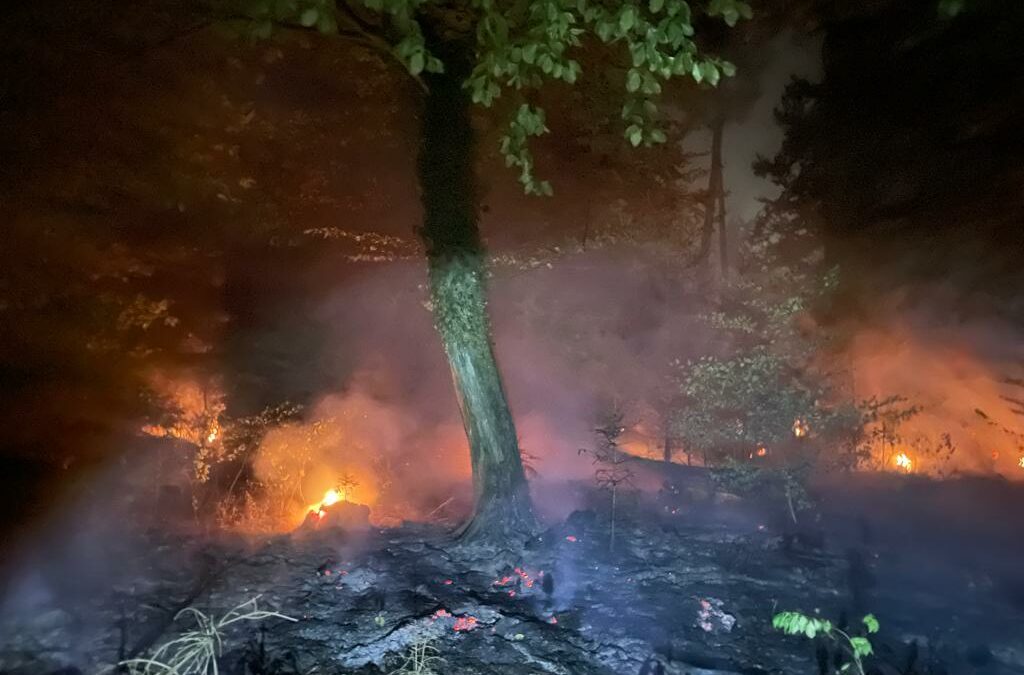 Waldbrand bei Stutensee-Blankenloch